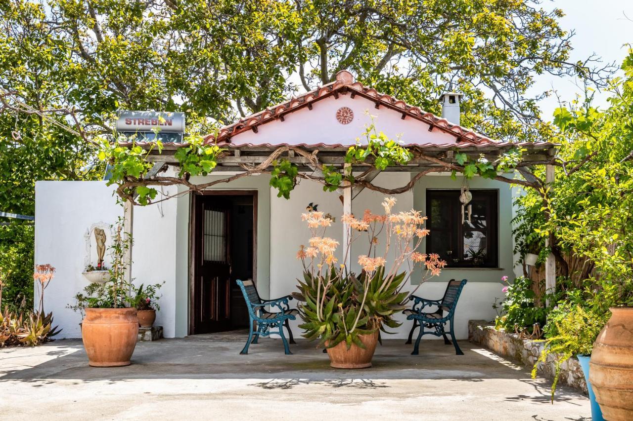 Yianna Cottage Studios Skopelos Zewnętrze zdjęcie